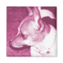 Magenta Pop Art Chihuahua Magnet by RLMdesignes Magenta Pop Art Chihuahua Magnet