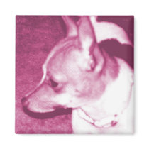 Magenta Pop Art Chihuahua Magnet by RLMdesignes Magenta Pop Art Chihuahua Magnet