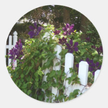 Magenta Purple Clematis Round Sticker