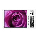 Magenta Rose postage stamps