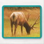 Magestic Bull Elk Mouse Mats
