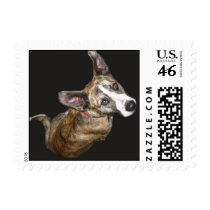 maggie 2 postage