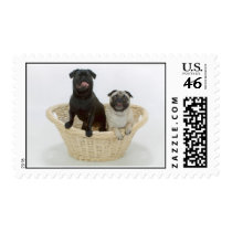 Maggie and Maxwell postage by HOLDENDEBRA Maggie and Maxwell postage