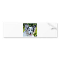 Maggie Bumper Sticker