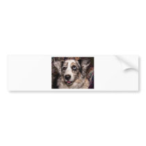 Maggie Bumper Stickers
