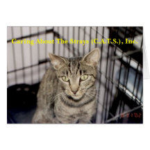 Maggie Jr. Greeting Cards