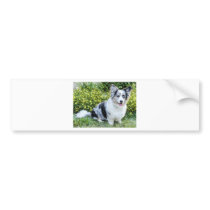 Maggie Mae Bumper Sticker