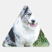 Maggie Mae Sticker