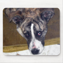 maggie mousepads