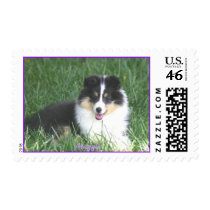Maggie postage