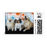 Maggie Roxie and Teenie Postage