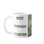 maggie-the-adoptable-pyrenees-mix-2_45316_2010-... mugs