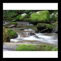 Maggie Valley NC Stream IV posters