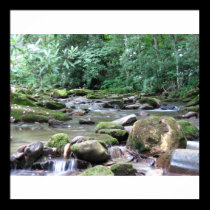 Maggie Valley NC Stream posters
