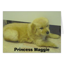 MaggieMaas, Princess Maggie cards