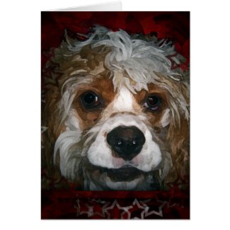 Maggy card