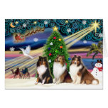 Magia de Navidad/perros pastor de Shetland (3) Tarjetón
