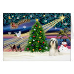 Magia de Navidad/Shih Tzu #4 Tarjetón