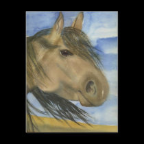 Magic, An American Mustang postcards by LindaLWatson Magic, An American Mustang postcards