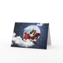 Magic Christmas Sheltie cards