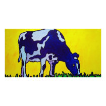 Magic Cow photo cards by piliero Magic Cow photo cards