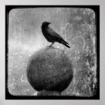 Magic Crow Poster