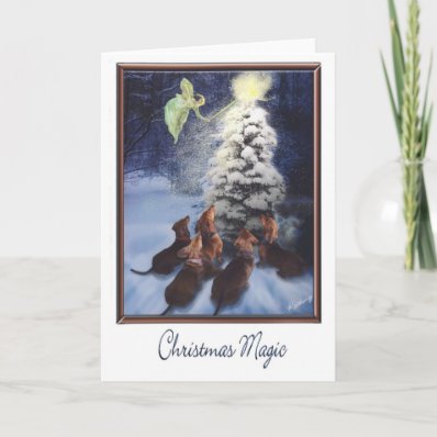 Magic Dachshund Christmas Cards