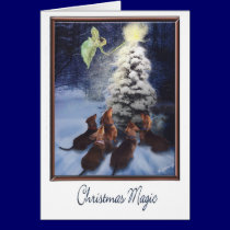 Magic Dachshund Christmas cards