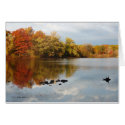 Magic Day cards