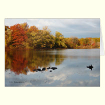 Magic Day cards by MoiraAshleigh Magic Day cards