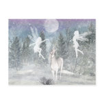 magic fairies postcard magic fairies postcard