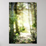 Magic Forest Posters