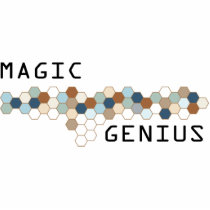 Magic Genius photo sculptures