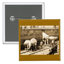 Magic Lantern Slide Ringling Bros Elephant Train Buttons