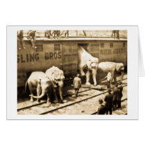 Magic Lantern Slide Ringling Bros Elephant Train Greeting Cards