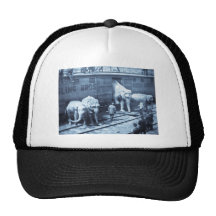 Magic Lantern Slide Ringling Bros Elephant Train Hat