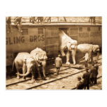 Magic Lantern Slide Ringling Bros Elephant Train Postcards
