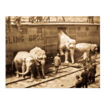 Magic Lantern Slide Ringling Bros Elephant Train postcards