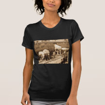 Magic Lantern Slide Ringling Bros Elephant Train Shirt