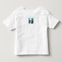 Magic mountain t-shirts