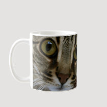Magic Mug mugs