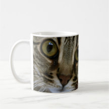 Magic Mug
