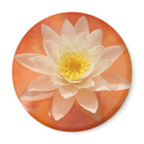 magic nature2 magnets by aceinvestor magic nature2 magnets