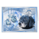 Magic of Christmas - Tess - Photo-3 Cards