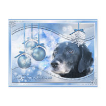 Magic of Christmas - Tess - Photo-3 postcards by FrankzPawPrintz Magic of Christmas - Tess - Photo-3 postcards