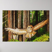 Magic of Flight! Print
