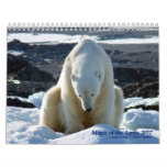 polar bears, arctic, svalbard, nature, wild life, polar, arctic adventure, ice bergs, global warming, arctic landscape, environment, ice, melting, save polar bears