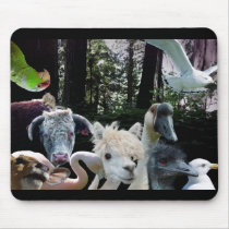 Magic Show mousepads by RW_IMAGES Magic Show mousepads