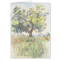 magic tree cards
