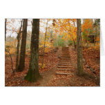 Magic Wood Stairs cards